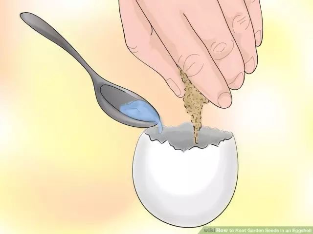 鸡蛋壳可以补钙吗（吃蛋壳补钙）-硒宝网