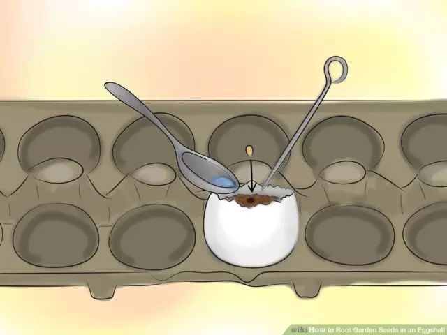 鸡蛋壳可以补钙吗（吃蛋壳补钙）-硒宝网