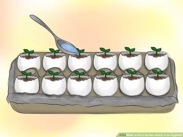 鸡蛋壳可以补钙吗（吃蛋壳补钙）-硒宝网