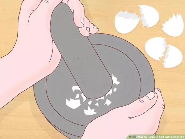 鸡蛋壳可以补钙吗（吃蛋壳补钙）-硒宝网