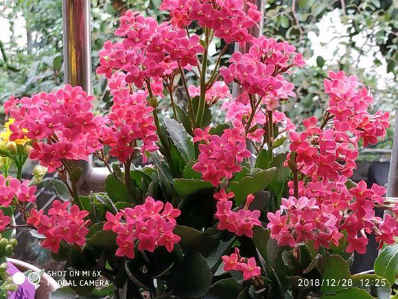鸡蛋皮能补钙吗(鸡蛋皮补钙吗怎么食用)-硒宝网