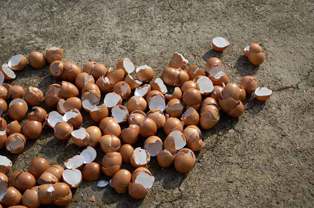 鸡蛋皮能补钙吗(鸡蛋皮补钙吗怎么食用)-硒宝网