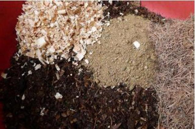 鸡蛋皮能补钙吗(鸡蛋皮补钙吗怎么食用)-硒宝网