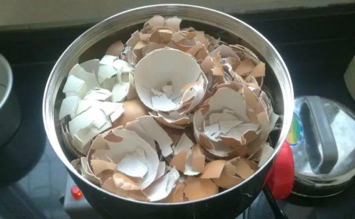 鸡蛋皮能补钙吗(鸡蛋皮补钙吗怎么食用)-硒宝网