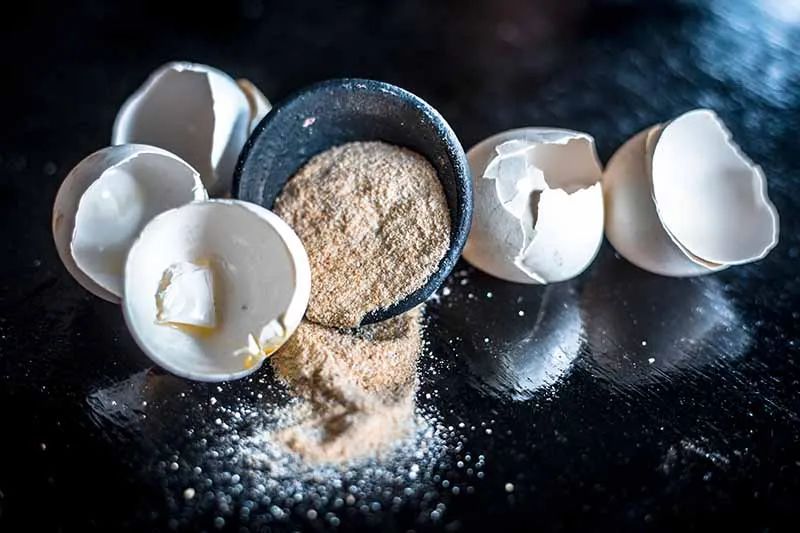 鸡蛋壳可以补钙吗（缺钙吃鸡蛋壳）-硒宝网