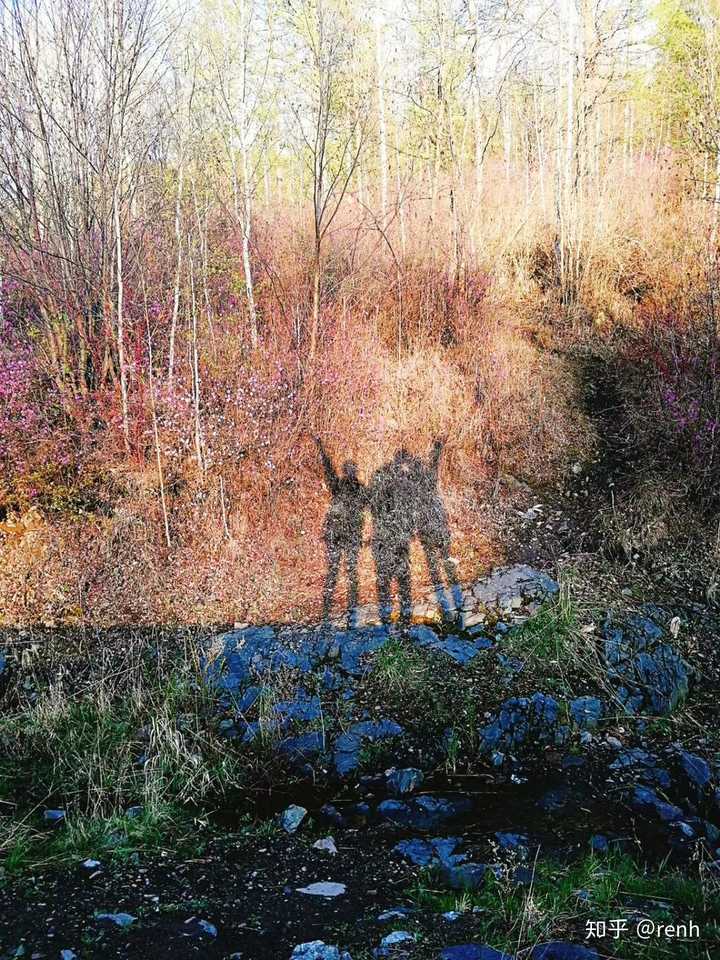 如何补钠(钠补的太快会产生什么后果)-硒宝网