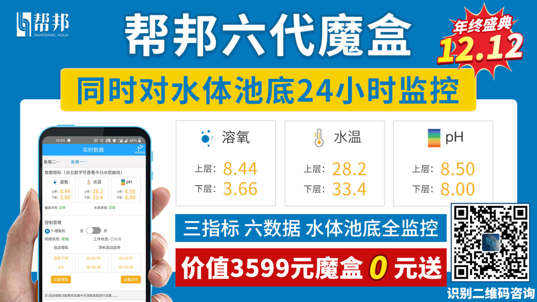 大虾补钙吗（河虾补钙还是大虾补钙）-硒宝网