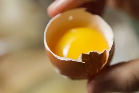 鸡蛋壳可以补钙吗(补钙可以直接吃鸡蛋壳吗)-硒宝网