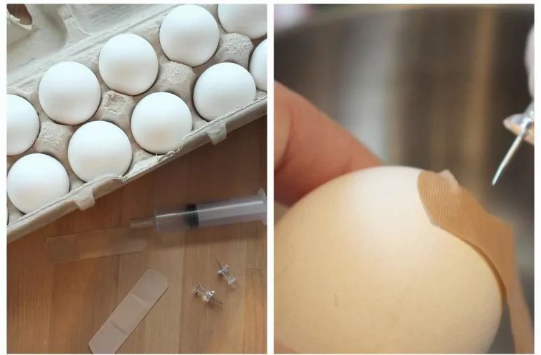 鸡蛋壳可以补钙吗(补钙可以直接吃鸡蛋壳吗)-硒宝网