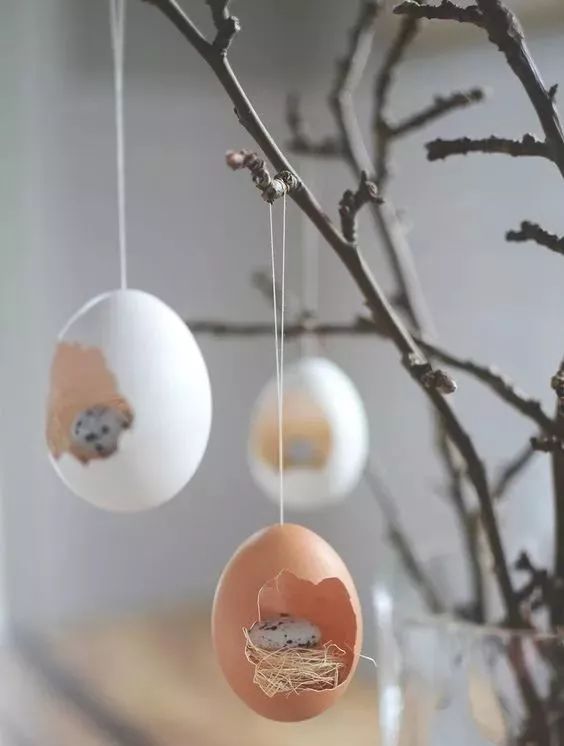 鸡蛋壳可以补钙吗(补钙可以直接吃鸡蛋壳吗)-硒宝网