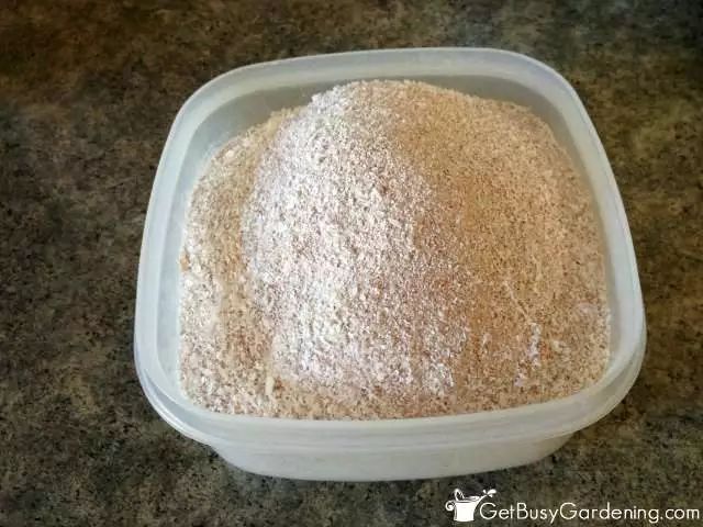 鸡蛋壳可以补钙吗(补钙可以直接吃鸡蛋壳吗)-硒宝网