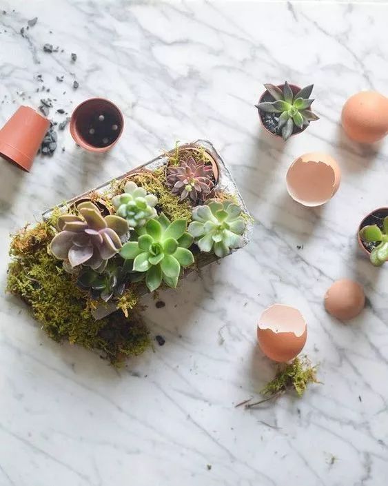 鸡蛋壳可以补钙吗(补钙可以直接吃鸡蛋壳吗)-硒宝网