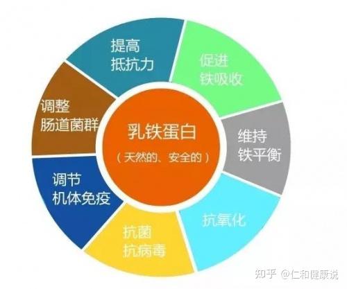乳铁蛋白能补铁吗（蛋白乳铁片）-硒宝网