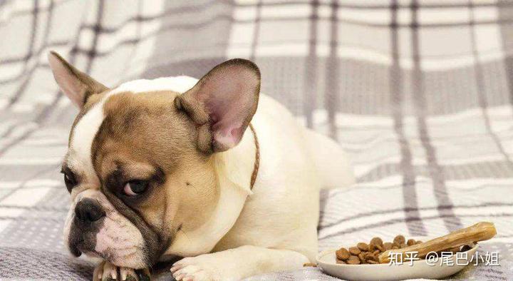 狗狗缺微量元素的症状（狗狗缺症状微量元素怎么检查）-硒宝网