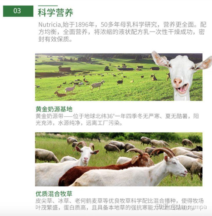 喝羊奶补钙吗(喝羊奶补钙不)-硒宝网