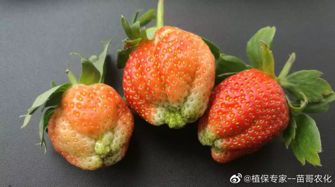 葡萄补铁吗(葡萄补铁用什么肥)-硒宝网