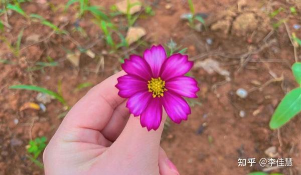 锌硒宝男人吃多久(男人吃锌硒宝生男孩吗)-硒宝网