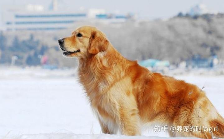 打补钙针好不好(打针补钙的针药有哪些)-硒宝网