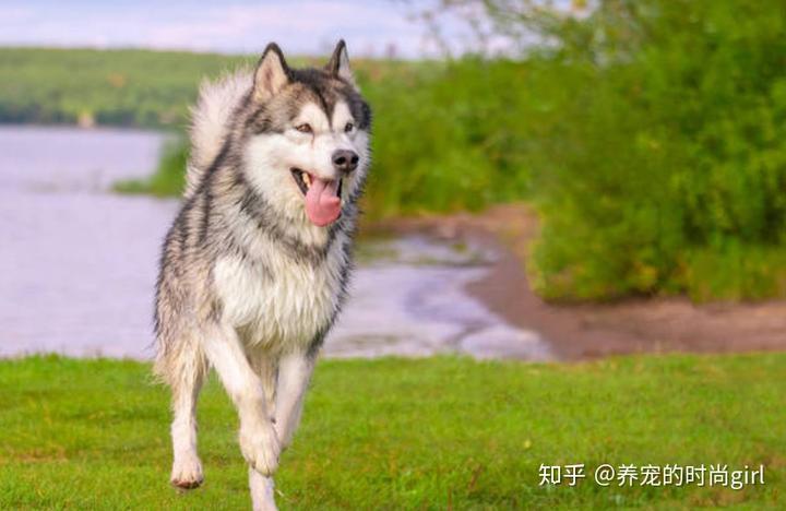 打补钙针好不好(打针补钙的针药有哪些)-硒宝网