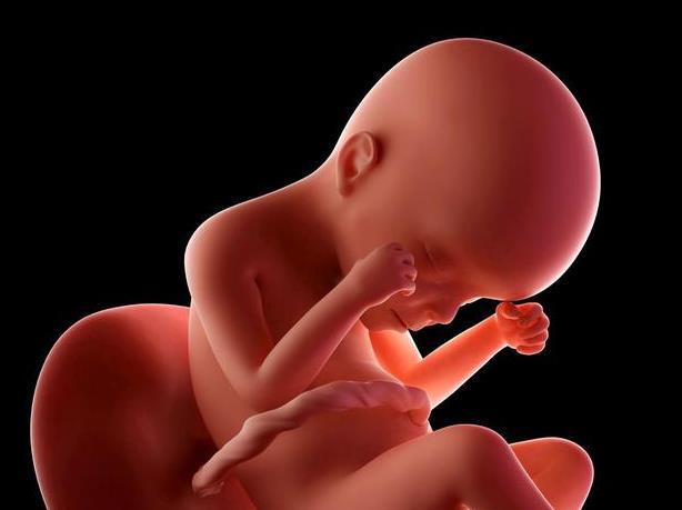 甲减能吃锌硒宝吗（锌硒宝儿童吃会导致早熟吗）-硒宝网