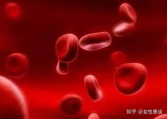 桂圆补铁吗（桂圆补铁补血吗）-硒宝网