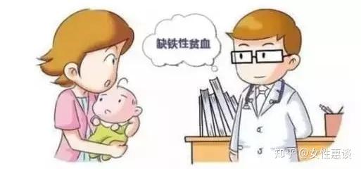 桂圆补铁吗（桂圆补铁补血吗）-硒宝网