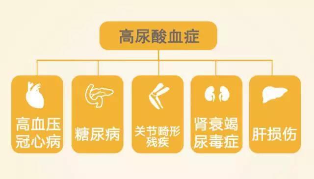 尿酸高能补钙吗(尿酸高可不可以补钙吃钙片)-硒宝网