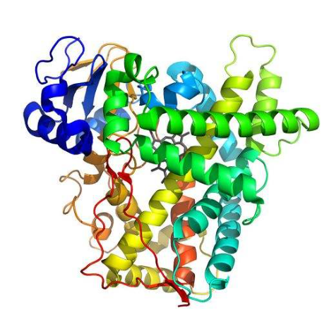 转移因子和锌硒宝(转移因子可以和锌一起服用吗)-硒宝网