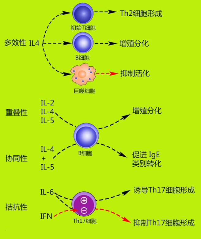 转移因子和锌硒宝(转移因子可以和锌一起服用吗)-硒宝网