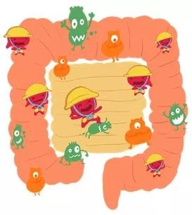 补铁一般补多长时间(一般补铁多久有效果)-硒宝网