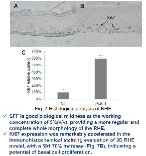 喜倍力锌硒宝成人（禧力得牌锌硒胶囊）-硒宝网