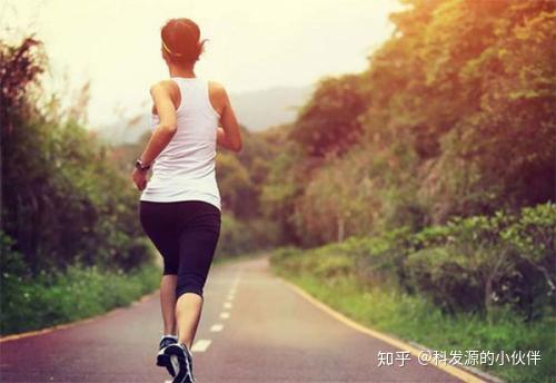 脱发补锌有用吗(脱发补锌用有效果吗)-硒宝网