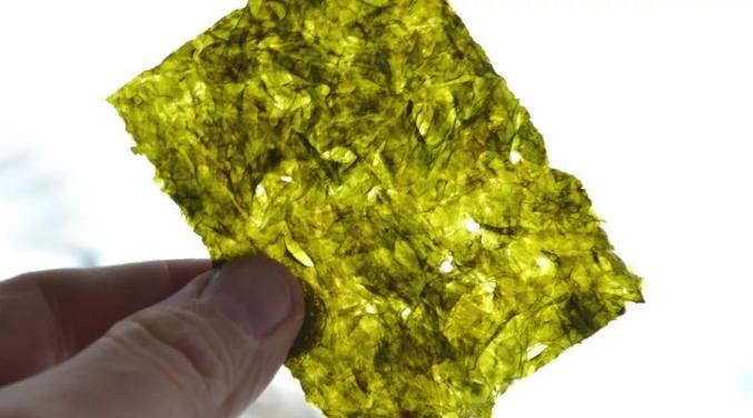 高血压可以补钙吗（血压高能补钙片吗）-硒宝网