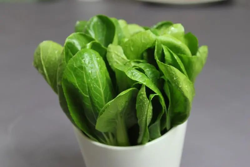 为什么吃补铁的药大便是黑色的（大便黑色证明补铁吸收不好吗）-硒宝网