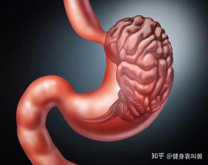 饭后接着吃锌硒宝（锌硒宝饭前吃还是饭后吃好）-硒宝网