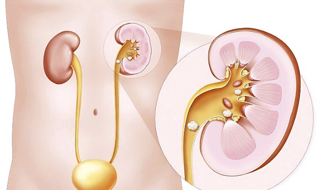 青菜补钙吗(青菜补钙微乎其微)-硒宝网