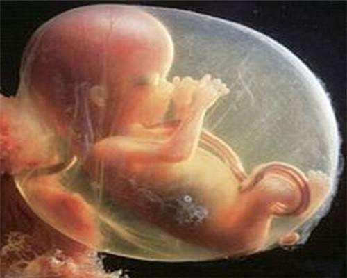 吃锌硒宝会发胖吗(锌硒宝儿童吃会导致早熟吗)-硒宝网