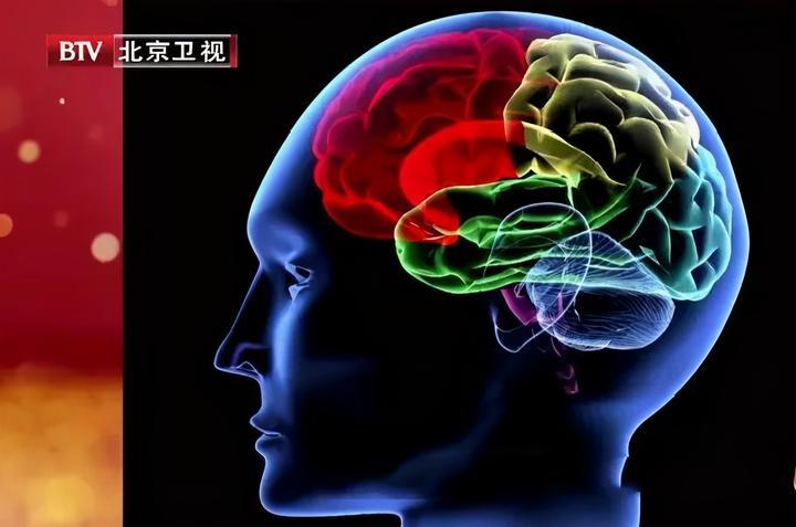 白菜补钙吗(白菜补钙应在什么时间)-硒宝网