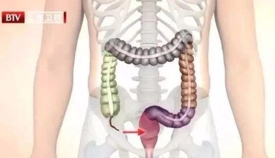 白菜补钙吗（白菜补钙用什么肥）-硒宝网