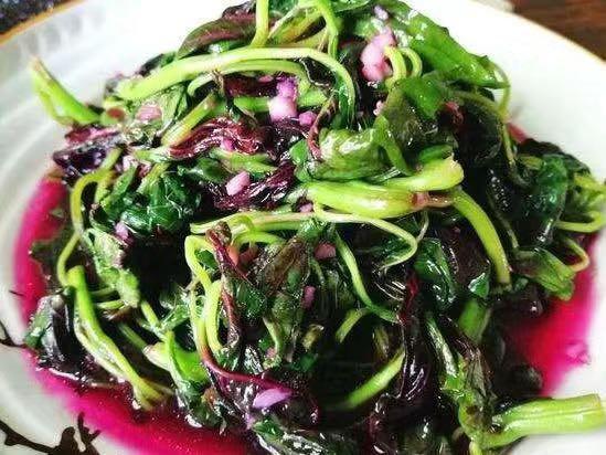 白菜补钙吗（白菜补钙用什么肥）-硒宝网