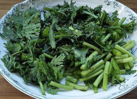 白菜补钙吗（白菜补钙用什么肥）-硒宝网