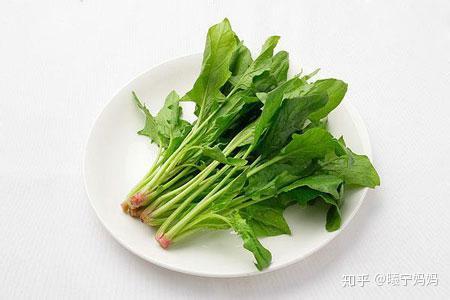 豆腐补铁吗（豆腐补铁嘛）-硒宝网