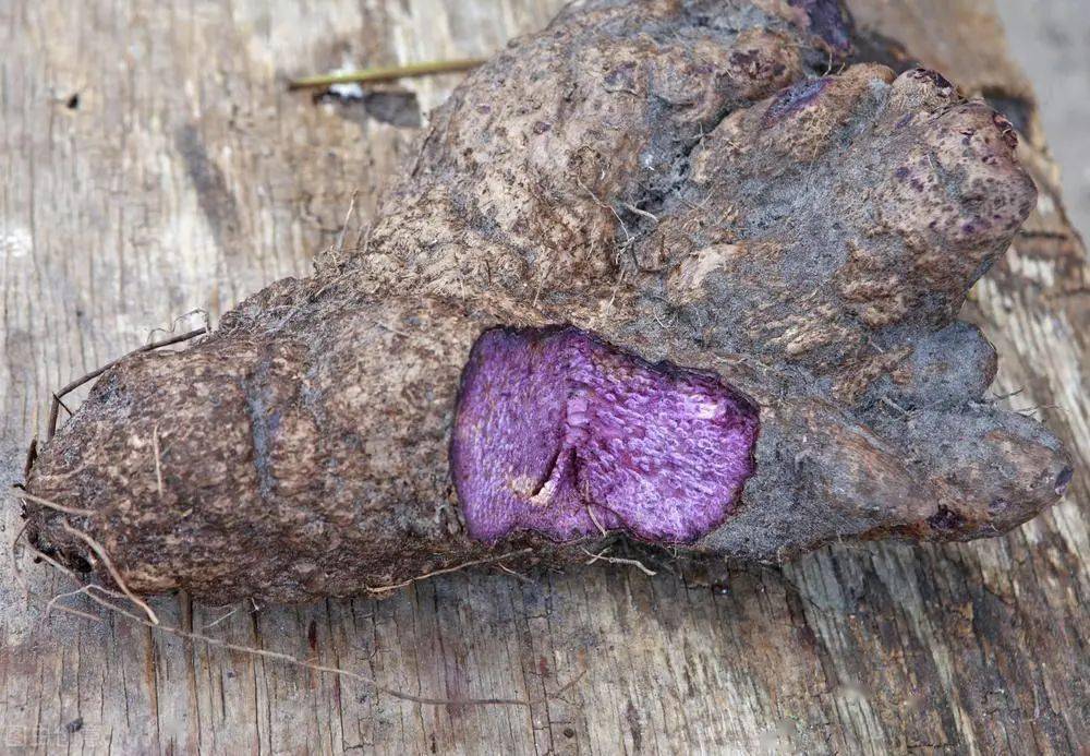 什么菜补锌(什么食物能补锌)-硒宝网