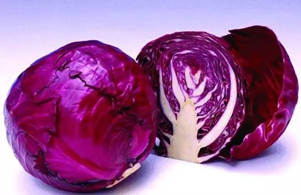 什么菜补锌(什么食物能补锌)-硒宝网