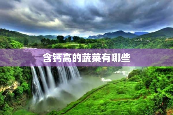 补铁的青菜有哪些(补铁吃什么青菜)-硒宝网