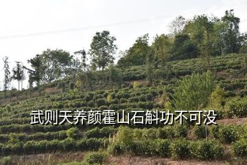 锌硒宝吞服可以吗（吃锌硒宝能喝酒吗）-硒宝网