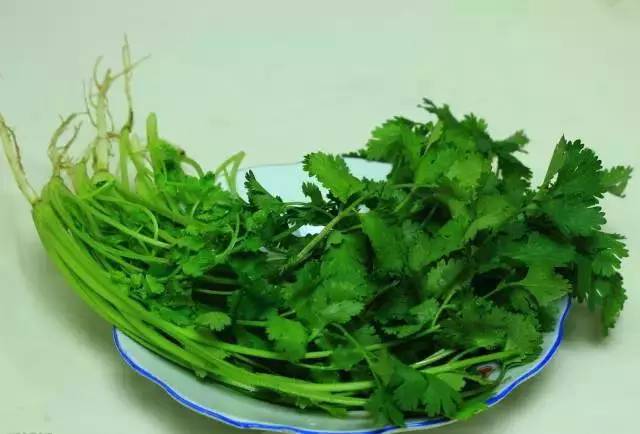 硒锌宝能治痘痘吗（痘痘锌能治宝硒病吗）-硒宝网