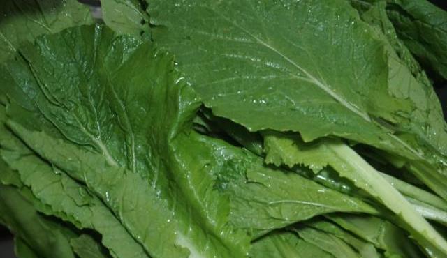 补铁的青菜有哪些(补铁的青菜有多少有什么)-硒宝网