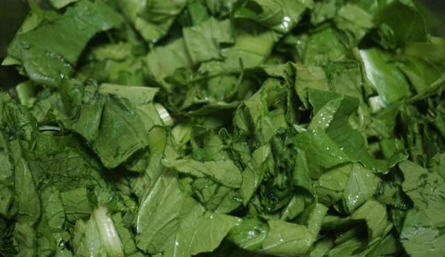 补铁的青菜有哪些(补铁的青菜有多少有什么)-硒宝网