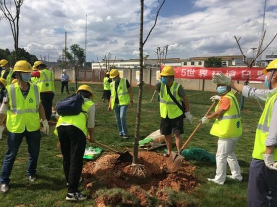 盖铂锌硒宝在哪买(锌硒宝有什么作用)-硒宝网
